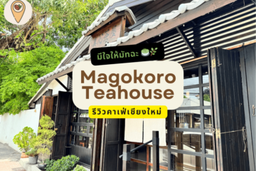 รีวิวคาเฟ่เชียงใหม่ Magokoro Teahouse มีใจให้มัทฉะ