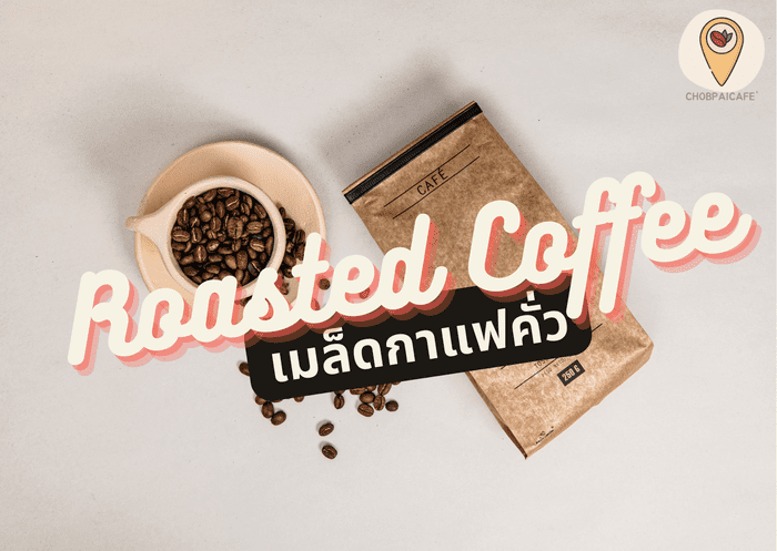 เมล็ดกาแฟคั่ว Roasted Coffee