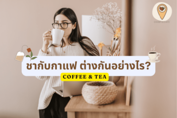 ชากับกาแฟ ต่างกันอย่างไร