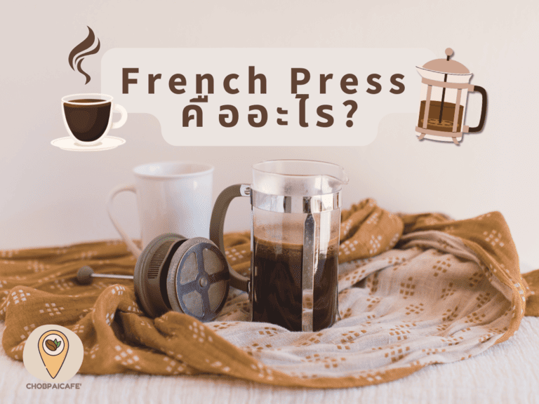 French Press คืออะไร