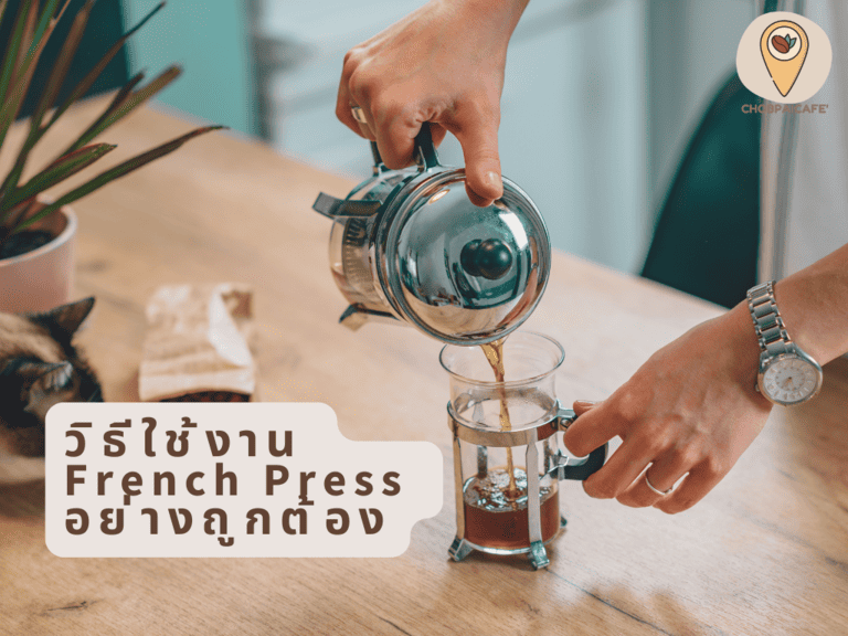 วิธีใช้งาน French Press อย่างถูกต้อง