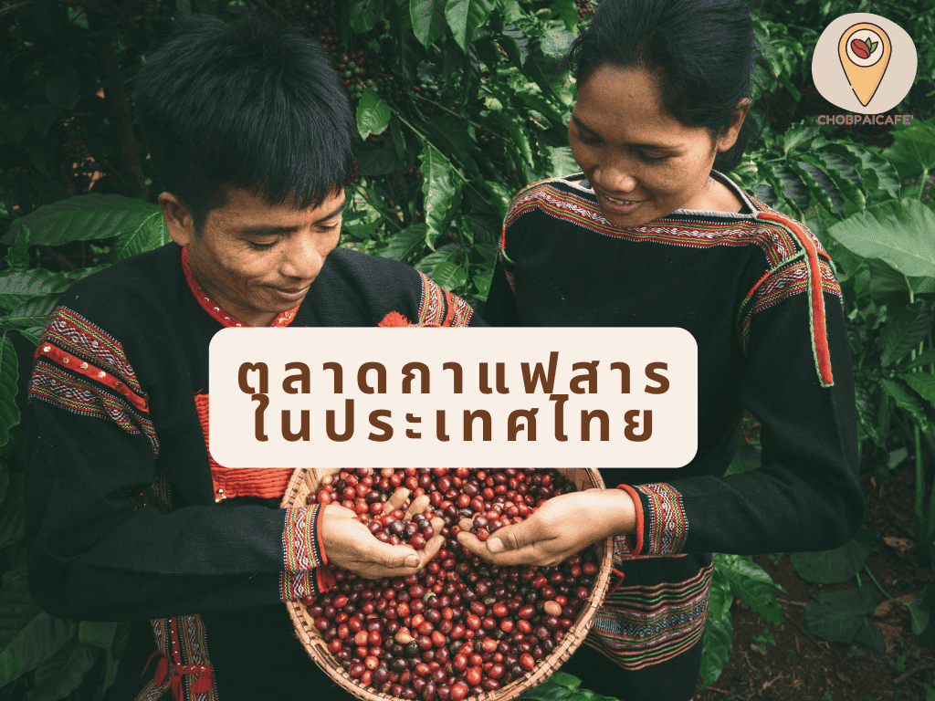 ตลาดกาแฟสารในประเทศไทย