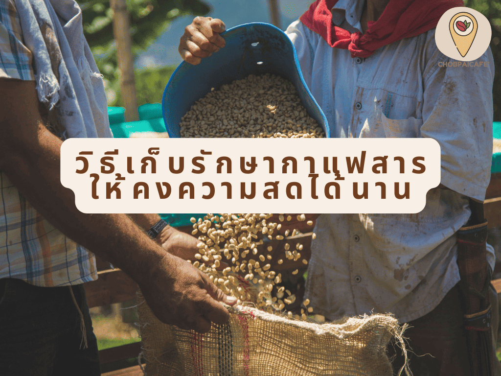 วิธีเก็บรักษากาแฟสารให้คงความสดได้นาน