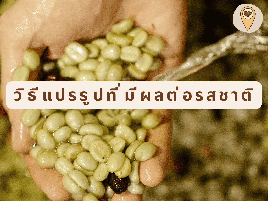 วิธีแปรรูปที่มีผลต่อรสชาติ